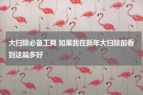 大扫除必备工具 如果我在新年大扫除前看到这篇多好