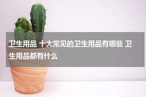 卫生用品 十大常见的卫生用品有哪些 卫生用品都有什么